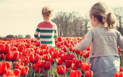 Das FEEL-Konzept in der Erziehung