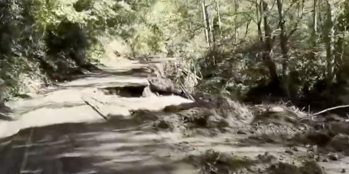 Update North Carolina: Tausende Tote, verzweifelte Kinder